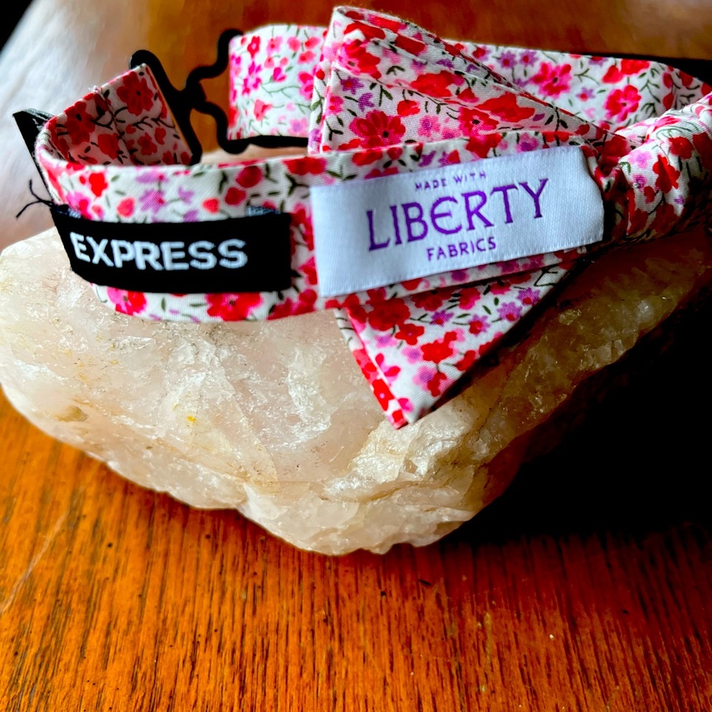 Bow Tie Express~Adjustable, Darling - image 4